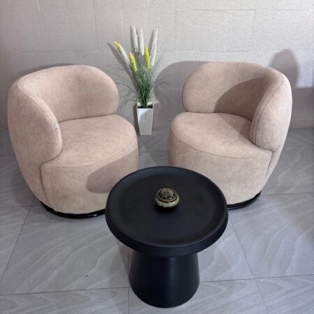 Fauteuils Club & Table Basse Assortie